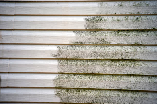 How To Choose The Right Materials for Your Siding Installation in 'Sneads Ferry, NC